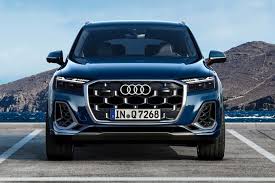 Image result for Navarra Blue 2024 Q7