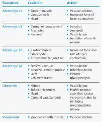 Caring For Patients Receiving Vasopressors In The Icu