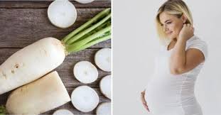 Tanaman ini dapat tumbuh di dataran rendah maksimal ketinggan 1500m. Manfaat Lobak Untuk Ibu Hamil 7 Manfaat Ini Jangan Dilewatkan Theasianparent Indonesia