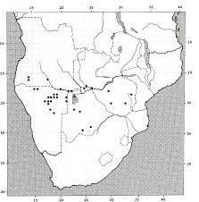 Image result for Ceropegia namuliensis