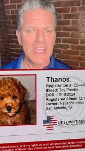 KITTEN FOUND DUCT TAPED IN PLASTIC CONTAINER IN A LUNCH BAG WITH METH IN  HER SYSTEM BACK IN DECEMBER. ALSO FOUND? Justin Dale Epperson, 45, and  Emily Maureen Allred, 41, were passed