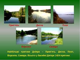 Що відбулася 12 серпня 1399 року на річці ворскла між військами золотої. Vodojmi Ukrayinirichki Prezentaciya Z Prirodoznavstva
