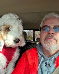 Bluebell Goldendoodles