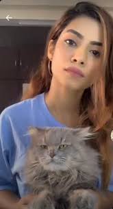 Pin By Priti Kar On Nagma Fam Cats Animals