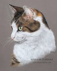 Instagram Photo By Marion Tubiana Aug 3 2016 At 2 46pm Utc Cat Portraits Cat Painting Animal Art