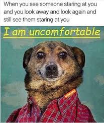 Education is important but drag racing is importanter. 410 Leave Me Alone Ideas Bones Funny Funny Quotes Make Me Laugh