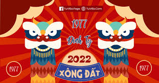 Trong phong thủy, năm nhâm dần 2022 có 3 tuổi rất đẹp để xông nhà là giáp tuất (1994), đinh mão (1987), canh ngọ (1990). Tuá»•i Xong Ä'áº¥t NÄƒm 2022 Cho Ä'inh Tá»µ 1977 Sá»­u Ä'em Tá»›i Phu Quy