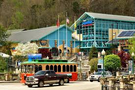 A Winter'S Day At Ripley'S Aquarium Of The Smokies