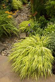 Check spelling or type a new query. Shade Plants Top 20 Shade Perennials Flowers More Garden Design