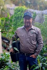 Image result for Indigofera subargentea