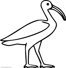Click to download it and many other colorings for free! Ibis Coloring Pages Coloringall