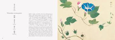 flowers of edo a guide to classical japanese flowers japanese flowers book art botanical art