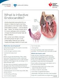 Heart Valves And Infective Endocarditis American Heart