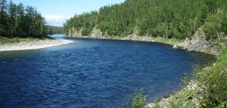 البحيرة في المنام معنى الحلم لابن سيرين