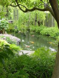 Koi Teich Im Garten Anlegen Ein Extra Furs Asiatische Ambiente Garten Anlegen Gartenteich Garten Design