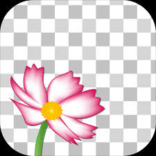 Edge Tracer Remove Background Apps On Google Play Remove.bg is the next best thing that'd happen to your mobile device.