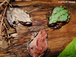 James C. Kennedy Waterfowl & Wetlands Conservation Center added a new...