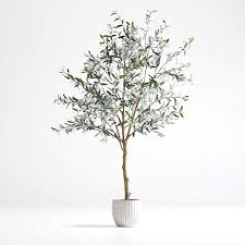 Our olive trees offer are exceptional ornamental trees. Potted Faux Olive Tree 7 Reviews Crate And Barrel