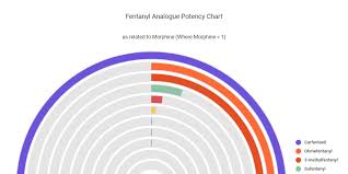 Fentanyl Analogue Potency Chart By Dennis Yip Infogram