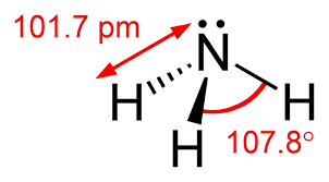 Difference Between Ammonia And Ammonium Hydroxide Compare The Difference Between Similar Terms