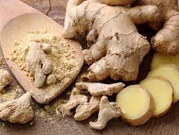 Cette plante sert de des recherches récentes ont montré que manger du gingembre systématiquement avec le diabète est très utile. Gingembre Zingiber Officinale Proprietes Bienfaits De Cette Plante En Phytotherapie Doctissimo