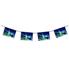 Now that you've got the food all set, it's time to set the mood! New York Bunting