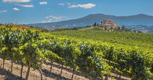 Facebook is showing information to help you better understand the purpose of a page. Cheap Flights From Marseille To Bordeaux