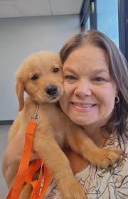 Golden Retriever lovers