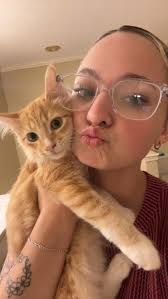 What male cat would be a good companion for a 21-month-old male cat?