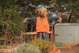 Check spelling or type a new query. Scarecrow In The Garden Stock Image Image Of Vegetable 124739235
