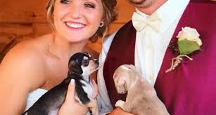 The puppy part of the wedding was more than about just being cute, of course. This Bride Replaced Flowers For Rescue Puppies As Bouquets And It S Too Pure