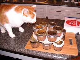 Homemade Cat Food Recipes Homesteading Simple Self Sufficient Off The Grid Homesteading Com Homemade Cat Food Canned Cat Food Healthy Cat Food