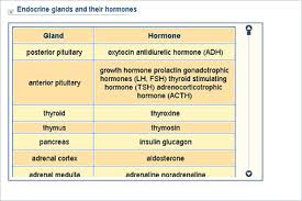Biology Lower Secondary Ydp Chart Endocrine Glands