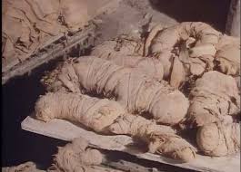 Ancient Egyptian animal mummy 'scandal' revealed