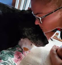 From tiny cuddles to playful walks, my dog has been by my side for 13  years. He was more than a pet, he was family. Though he's gone now, the  memories we