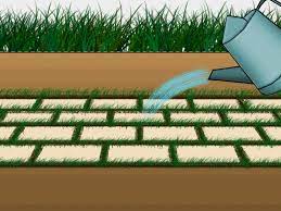 How To Make A Patio With Pavers And Grass Grass Pavers Growing Grass Diy Patio Pavers