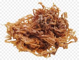 Usages des poudres végétales : La Mousse Dirlande Les Algues Mer Png La Mousse Dirlande Les Algues Mer Transparentes Png Gratuit