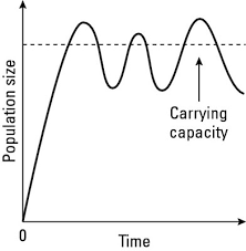 All populations have a carrying capacity, whether bacteria in a bottle or rabbits in a forest. The Environmental Science Of Population Growth Models Dummies