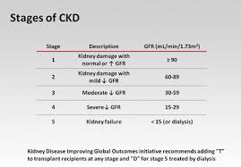 Stage 3 Kidney Disease Causes Treatments Symptoms And Diet Stage 3 Kidney Disease Kidney Disease Stages Kidney Failure Symptoms