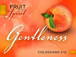 Gentleness Fruit Of The Spirit Powerpoint Template Pentecost Powerpoints Fruit Of The Spirit Fruit New Fruit