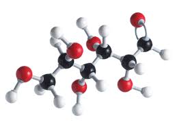 We did not find results for: Which Paths Produce The Most Atp Per Glucose Molecule