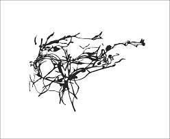 This is what draws our eyes in and around the frame. Black And White Natural Pattern Louis Page