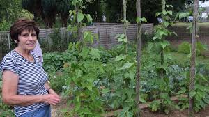 In Ihrem Garten Bluht Rita Langrock Auf Runkel