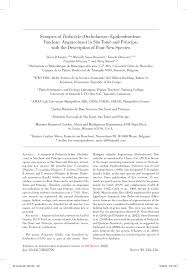 Image result for Diaphananthe lebelii