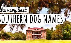 90 Southern Dog Names Darn Good Dixie Doggie Names