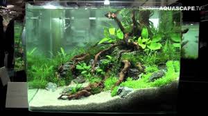 Aquariums, aquascaping, planted tanks, hardscapes, fish tanks, ada tanks, shrimp tanks, and bettas planted aquarium, nano tank, aquascape by lauris karpovs #aquariumtanksideas. Aquascaping Qualifyings For The Art Of The Planted Aquarium 2015 Region North Nano Tanks Part 3 Youtube