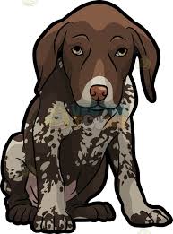 Black And White Spotted Dog Clipart A Shy German Shorthaired Pointer Pet Dog Dog Drawing Pop Art Animals Cute Cartoon Animals