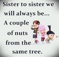 Some are funny, some show love, but they're all meaningful in their own way, whether your a big or little sister. 300 Sisters Ideas Sisters Three Sisters Love My Sister