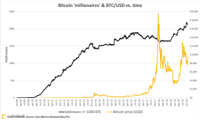 The Bitcoin Rich List Has Grown 30 In The Last Year But