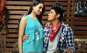 The movie opened in the philippines on february 13, 2008, starring richard gutierrez and marian rivera. Kapuso Falling Canopy